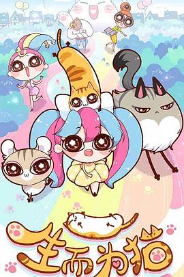 深圳网站优化费用多少